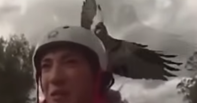 Eagle Attacks Woman Riding Bike