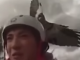 Eagle Attacks Woman Riding Bike