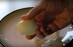 Peel the Perfect Hard-Boiled Egg