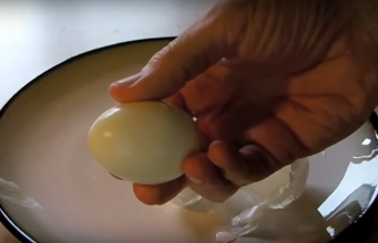 Peel the Perfect Hard-Boiled Egg